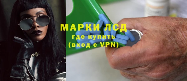 сатива Лабытнанги