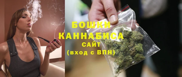 твердый Краснослободск