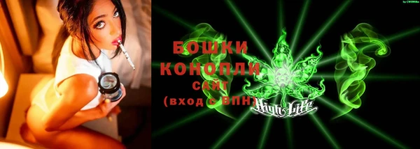 сатива Лабытнанги