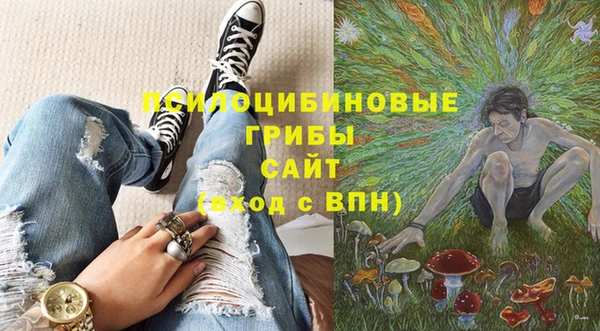 молекула духа Лагань