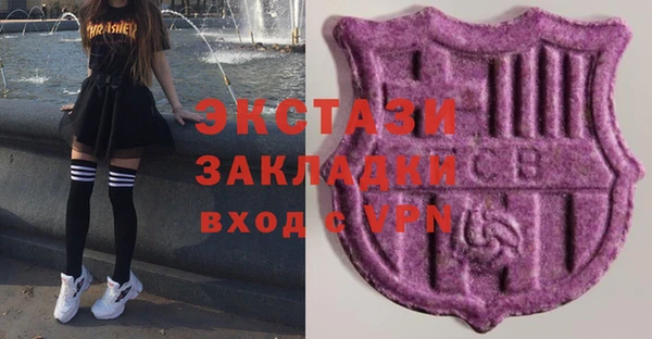 твердый Краснослободск
