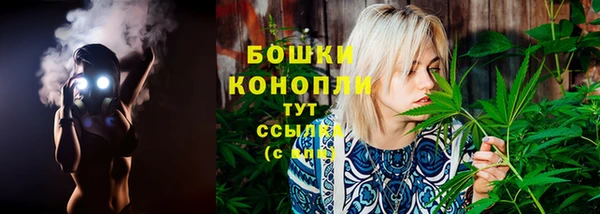 молекула духа Лагань
