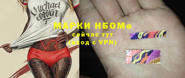 сатива Лабытнанги