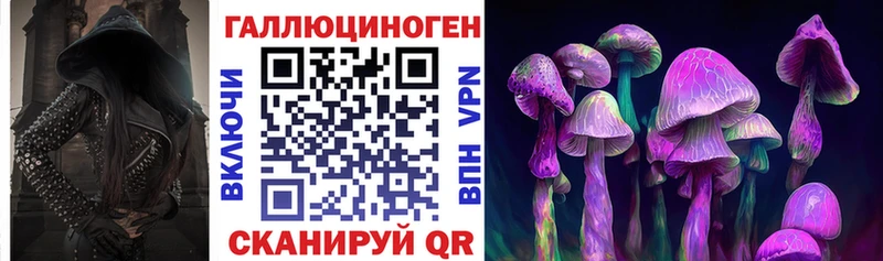 KRAKEN ONION  купить наркоту  Медвежьегорск  Галлюциногенные грибы Psilocybe 