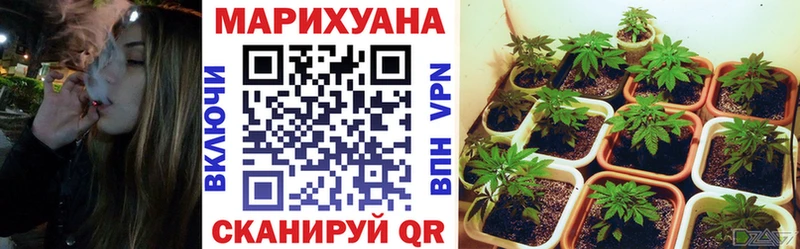 Бошки марихуана конопля  Медвежьегорск 